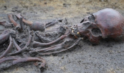 50 &#039;well-preserved&#039; skeletons from Viking Age unearthed in Denmark