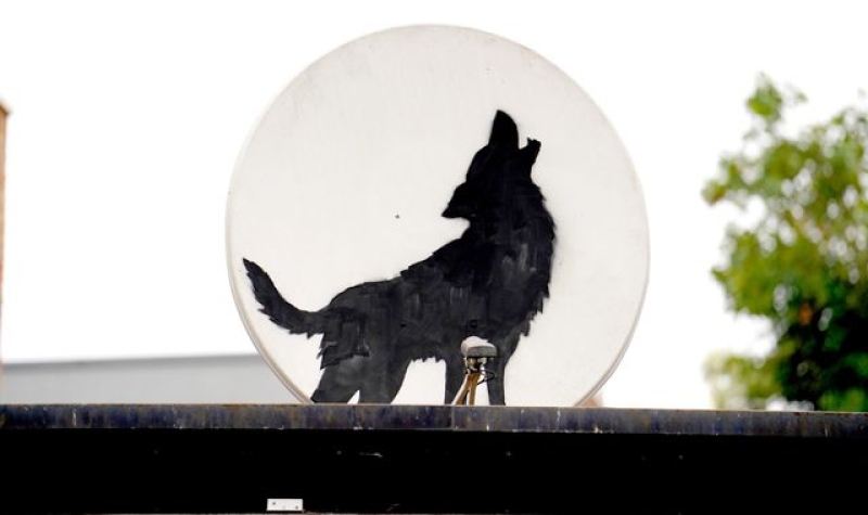 Banksy reveals howling wolf image in Peckham - the fourth animal artwork in four days